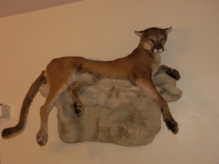 lionmount